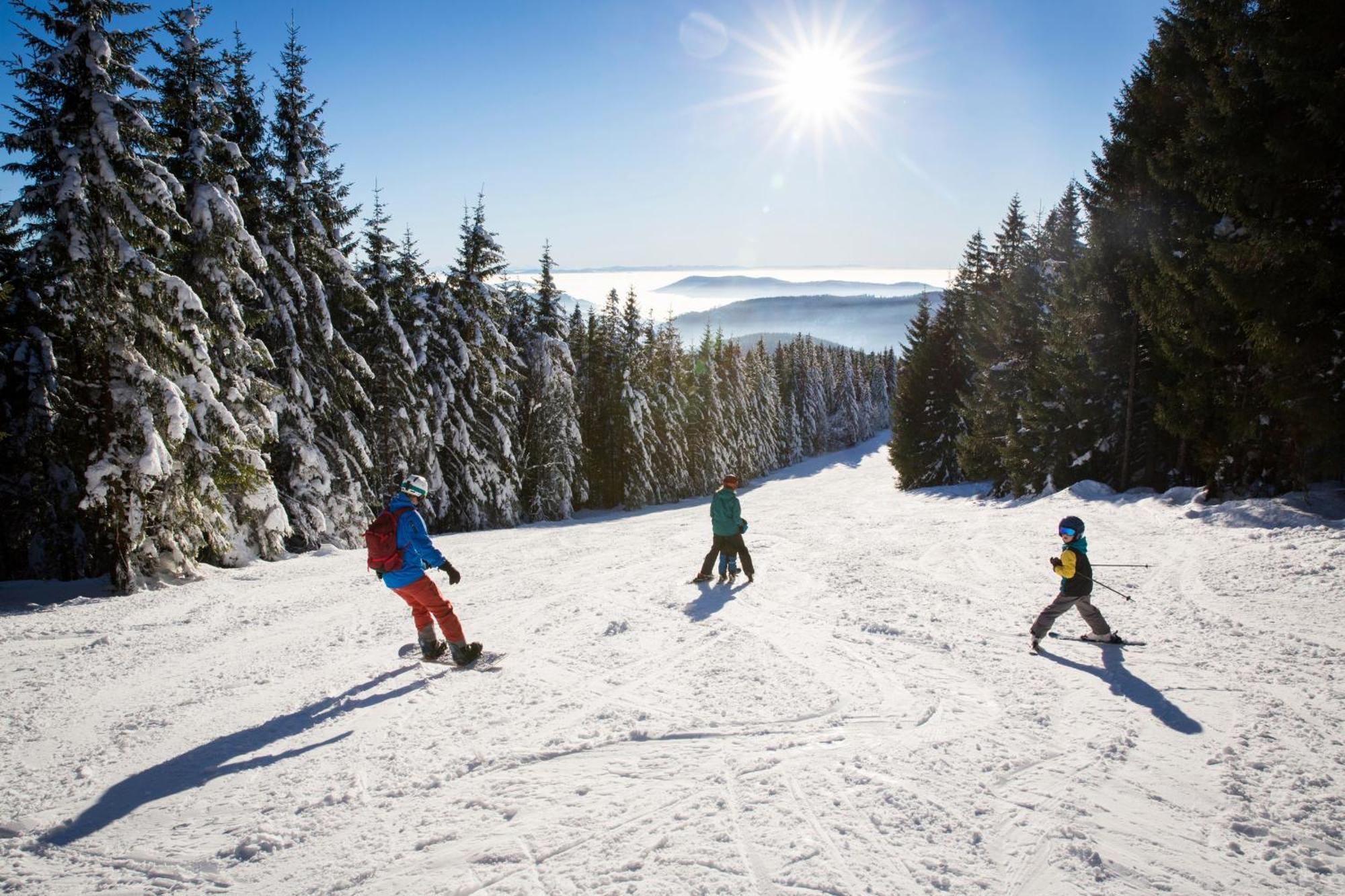 Haus Koenige Hinterzarten Luaran gambar